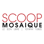 ScoopMosaique-107.4 Tubize, Belgium