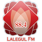 LalegulFM-88.4 İstanbul, Turkey